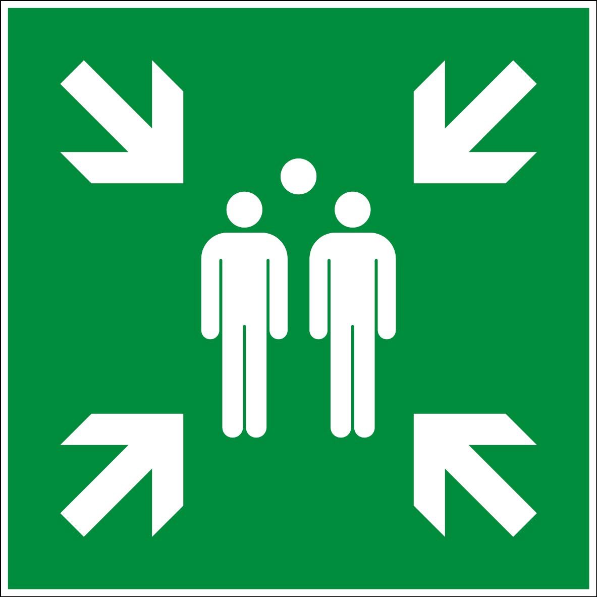 4220338-160220540-panneau_200_x_200_rigide-point_de_rassemblement_apres_evacuation_iso7010.jpg
